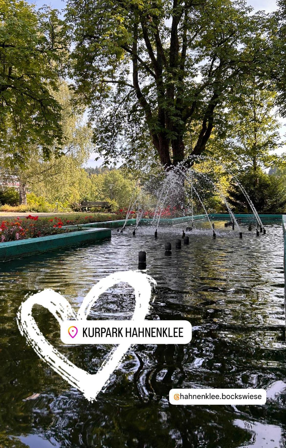 Ferienapartment Hahnenklee Apart 1 กอสลาร์ ภายนอก รูปภาพ